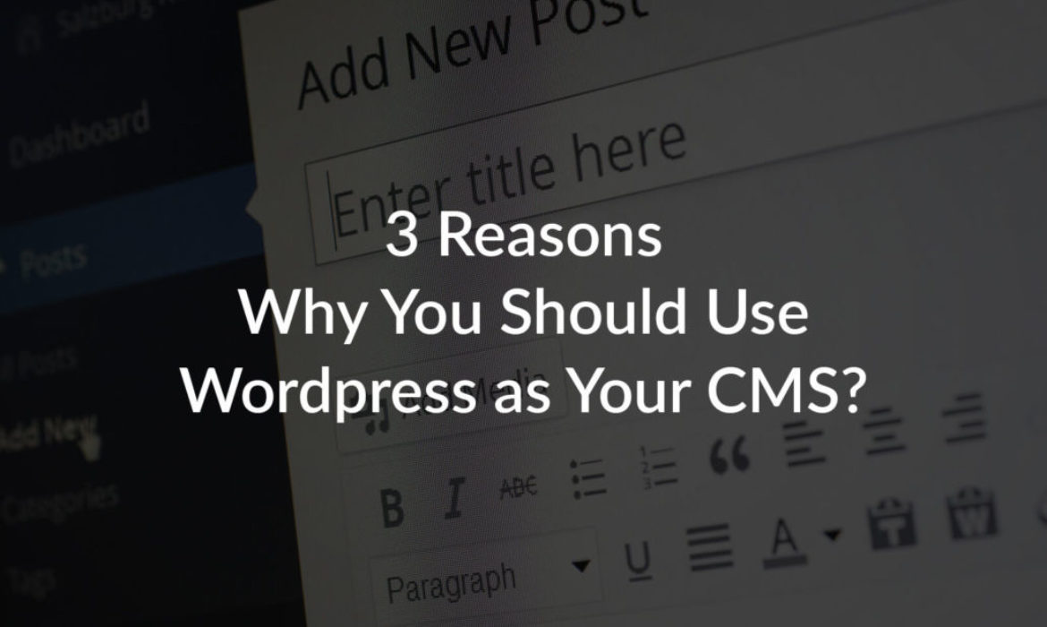 3 Reasons Why You Should Use WordPress as your CMS