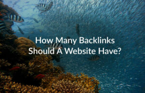 How-many-backlinks-should-a-website-have-1030×663